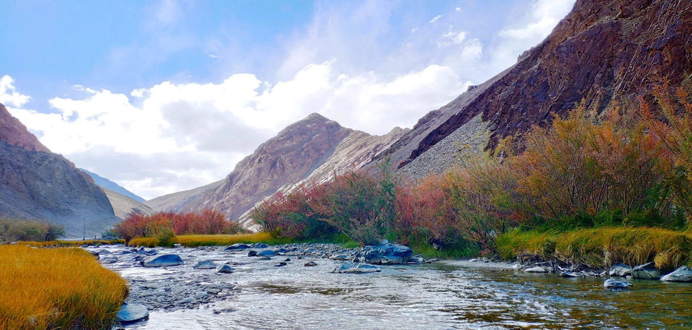 Paradise Kashmir